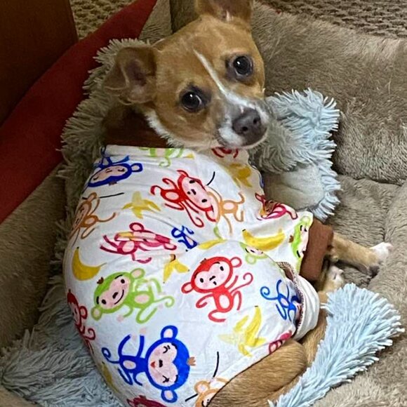 Meet your Posher, Carrie - Picture 4 of 13